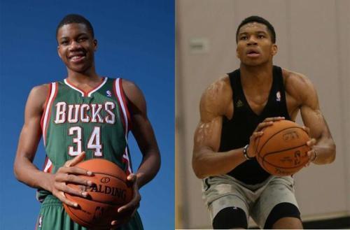 的精英传统 的精英传统