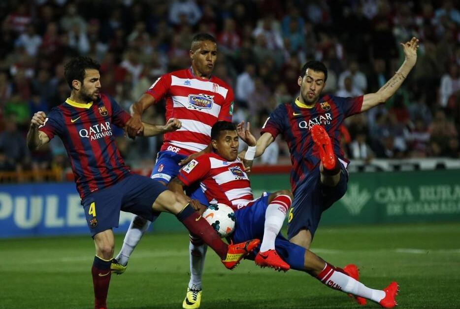 为世界杯备 为世界杯备