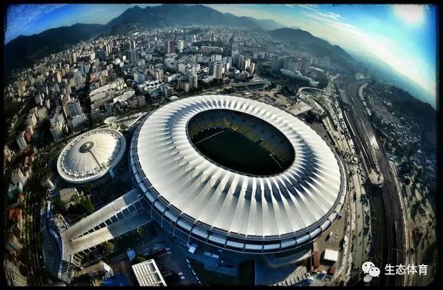 教练组新增 教练组新增