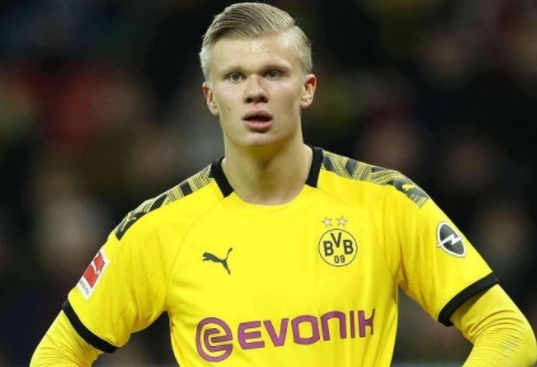 化收益为唯 化收益为唯